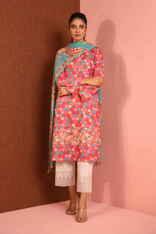 2 Piece - Printed Embroidered Suit - PE23-119